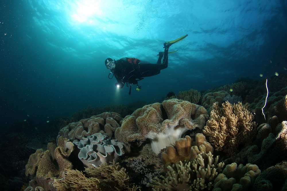 002-indonesia.jpg