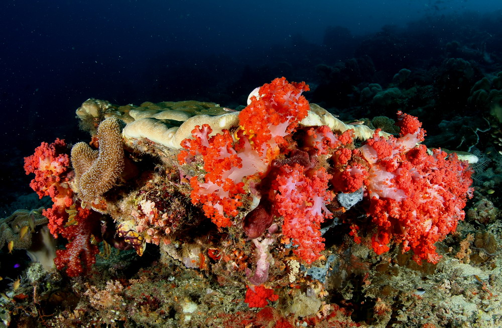 032-indonesia.jpg